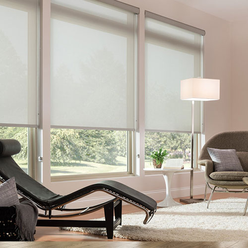 Annapolis Roller Shades
